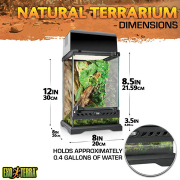 Exo Terra Nano Terrarium - Amazing Amazon